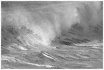 Breaking wave. North shore, Kauai island, Hawaii, USA (black and white)