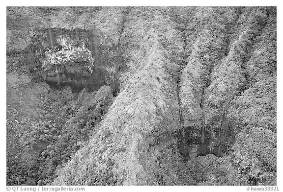 Aerial view of a crater on the slopes of Mt Waialeale. Kauai island, Hawaii, USA (black and white)