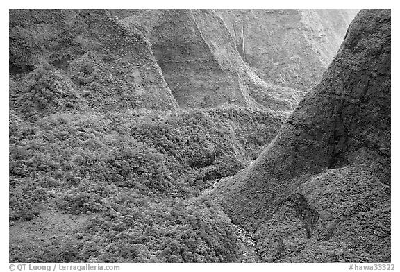 Aerial view of a valley on the slopes of Mt Waialeale. Kauai island, Hawaii, USA (black and white)