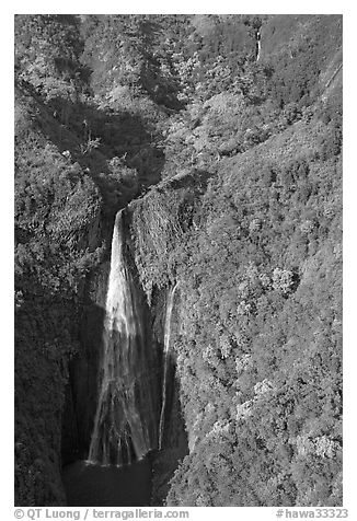 Aerial view of the Manawaiopuna falls (nicknamed Jurassic falls since featured in the movie). Kauai island, Hawaii, USA (black and white)