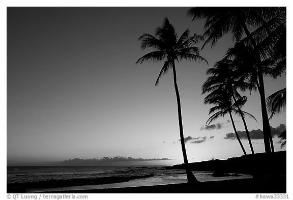 black and white sunset photography