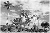 Rocks from a Heiau at the mounth of the Waiula River. Kauai island, Hawaii, USA (black and white)