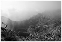 Kalalau Valley and mist, late afternoon. Kauai island, Hawaii, USA ( black and white)