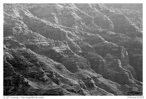 Ridges, lower Waimea Canyon, early morning. Kauai island, Hawaii, USA (black and white)