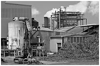 Sugar cane factory. Kauai island, Hawaii, USA ( black and white)