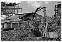 Sugar cane mill. Kauai island, Hawaii, USA (black and white)