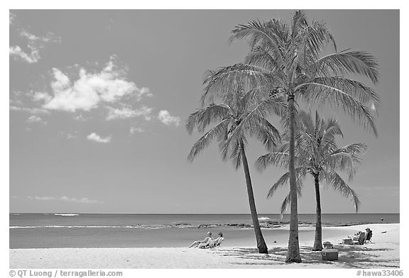 Couple on beach chair, and coconut trees,  Salt Pond Beach, mid-day. Kauai island, Hawaii, USA