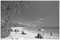Sun unbrellas and palm trees, mid-day, Poipu Beach. Kauai island, Hawaii, USA (black and white)