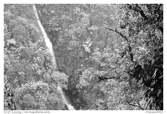 Kahuna Falls. Akaka Falls State Park, Big Island, Hawaii, USA