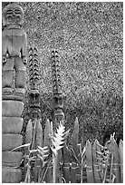 Flowers offered to Polynesian idols, Place of Refuge. Big Island, Hawaii, USA (black and white)