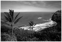 Polulu Beach seen from Polulu Valley overlook. Big Island, Hawaii, USA (black and white)