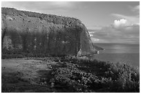 Steep valley walls, Waipio Valley. Big Island, Hawaii, USA ( black and white)