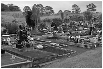Hilo cemetery. Big Island, Hawaii, USA ( black and white)