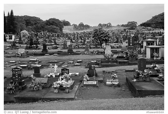 Japanese graves, Hilo. Big Island, Hawaii, USA (black and white)