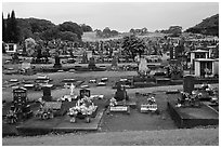 Japanese graves, Hilo. Big Island, Hawaii, USA ( black and white)