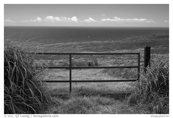 Gate, field, and Ocean. Big Island, Hawaii, USA (black and white)