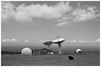 South Point satellite station. Big Island, Hawaii, USA ( black and white)
