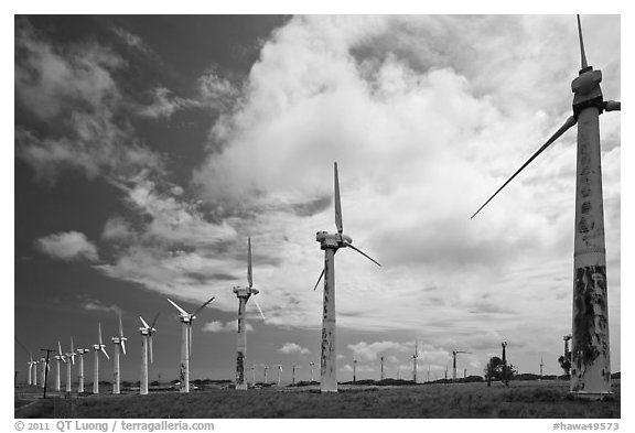 Old Kamoa wind farm, South Point. Big Island, Hawaii, USA (black and white)