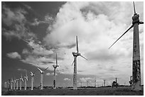 Old Kamoa wind farm, South Point. Big Island, Hawaii, USA ( black and white)