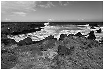 Grasses and volcanic shore, South Point. Big Island, Hawaii, USA ( black and white)