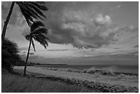 Palm trees, cloud, and ocean surf at sunset. Lahaina, Maui, Hawaii, USA (black and white)