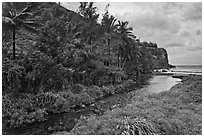Honokohau creek and coast. Maui, Hawaii, USA (black and white)