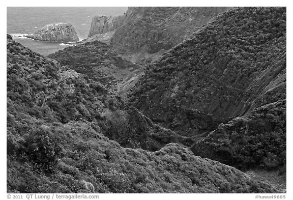 Verdant eroded valley. Maui, Hawaii, USA (black and white)