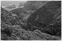 Verdant eroded valley. Maui, Hawaii, USA (black and white)