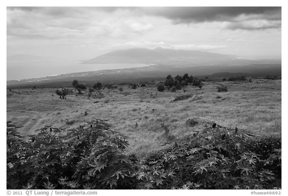 West Maui seen from highlands. Maui, Hawaii, USA (black and white)