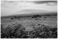 West Maui seen from highlands. Maui, Hawaii, USA ( black and white)