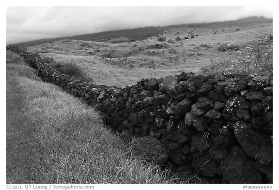 Long lava rock wall and pastures. Maui, Hawaii, USA