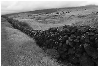 Long lava rock wall and pastures. Maui, Hawaii, USA (black and white)