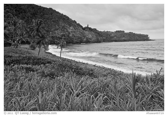 Beach, Opelu Falls dropping into bay. Maui, Hawaii, USA (black and white)
