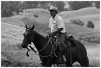 Paniolo (Hawaiian cowboy). Maui, Hawaii, USA (black and white)
