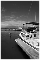 Yachts in harbor. Lahaina, Maui, Hawaii, USA ( black and white)