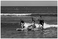 Surfing students ride the same wave. Lahaina, Maui, Hawaii, USA ( black and white)