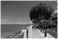 Waterfront promenade. Lahaina, Maui, Hawaii, USA (black and white)