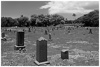 Japanese cemetery. Lahaina, Maui, Hawaii, USA ( black and white)