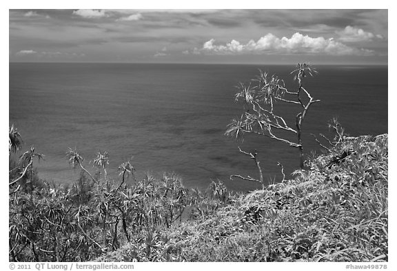 Ocean view from Kalalau trail. Kauai island, Hawaii, USA (black and white)