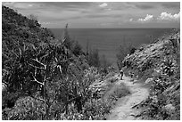 Hiking Kalalau trail. Kauai island, Hawaii, USA ( black and white)