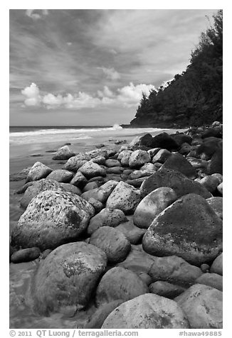 Hanakapiai Beach and rocks. Kauai island, Hawaii, USA (black and white)