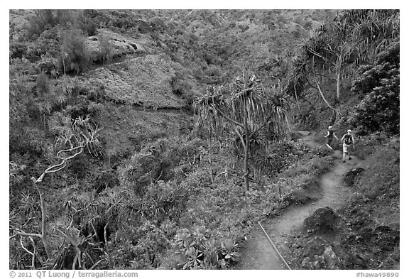 Kalalau trail. Kauai island, Hawaii, USA (black and white)