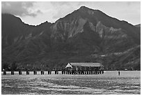 Hanalei Pier, mountains, and surfer. Kauai island, Hawaii, USA (black and white)