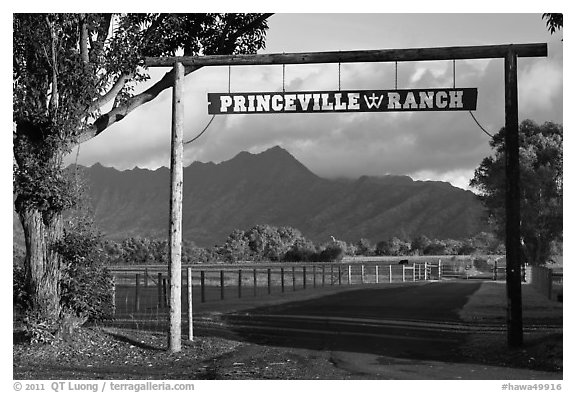 Princeville Ranch gate. Kauai island, Hawaii, USA