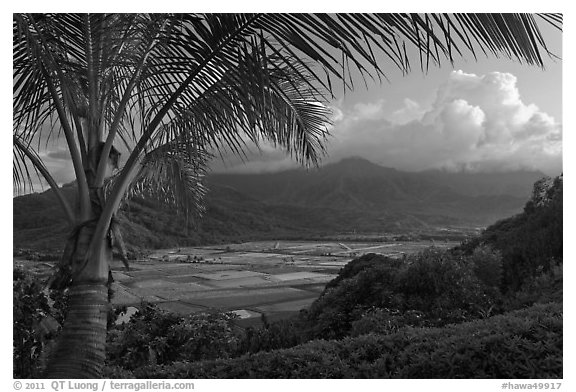 Hanalei Valley from above, sunset. Kauai island, Hawaii, USA (black and white)