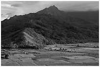 Taro paddy fields and mountains, Hanalei Valley. Kauai island, Hawaii, USA (black and white)