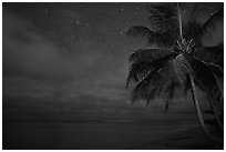 Palm tree, stars and ocean. Kauai island, Hawaii, USA (black and white)