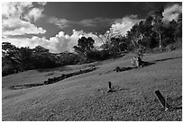 Chinese cemetery, Hanalei Valley. Kauai island, Hawaii, USA ( black and white)