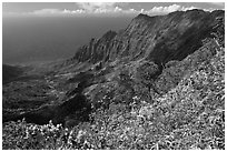 Kalalau Valley and fluted mountains. Kauai island, Hawaii, USA ( black and white)