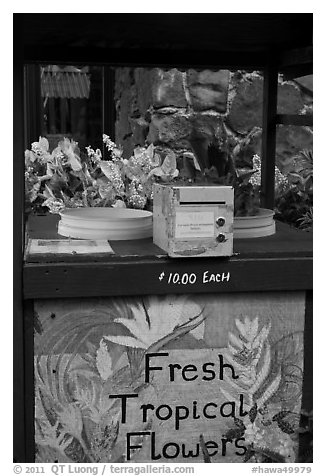 Self-serve fresh tropical flowers stand. Kauai island, Hawaii, USA (black and white)